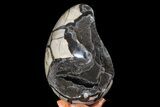 Bargain, Septarian Dragon Egg Geode - Black Crystals #67780-2
